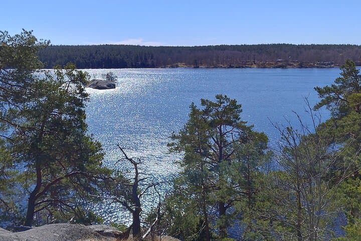 Stockholm Hiking Tour: Explore Hellasgården & Forest Trails