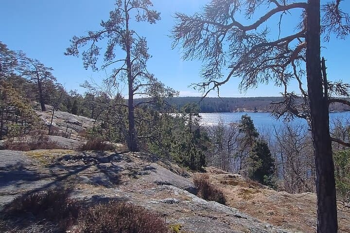 Stockholm Hiking Tour: Explore Hellasgården & Forest Trails
