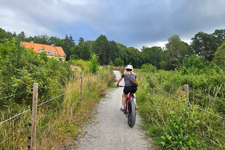 Stockholm Fat Bike Forest Adventure with Lunch and Sauna