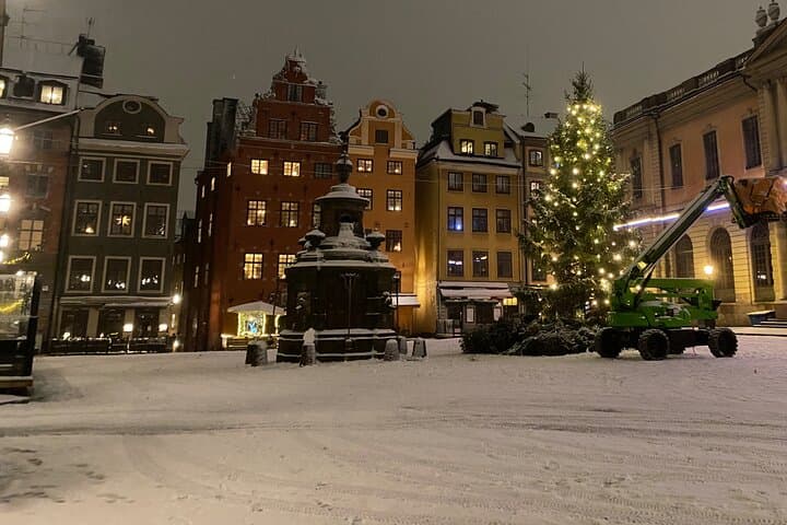 Gamla Stan Christmas Tour and Market Visit