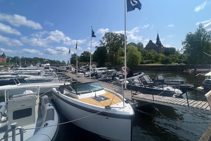 VIP Stockholm Guided City Tour+Vaasa Museum by Mercedes V-class