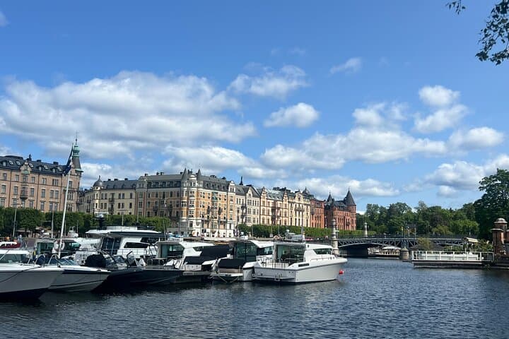 VIP Stockholm Guided City Tour+Vaasa Museum by Mercedes V-class