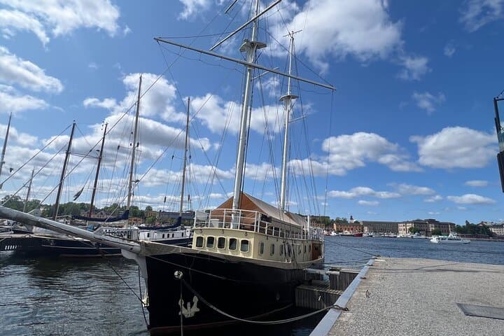 VIP Stockholm Guided City Tour+Vaasa Museum by Mercedes V-class