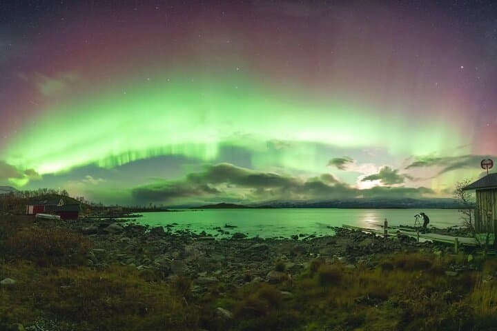 Kiruna: Northern Lights Tour with Sami BBQ Dinner