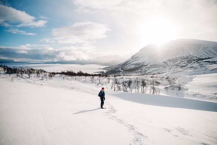 Kiruna Guided Daytime Snowshoe Hike