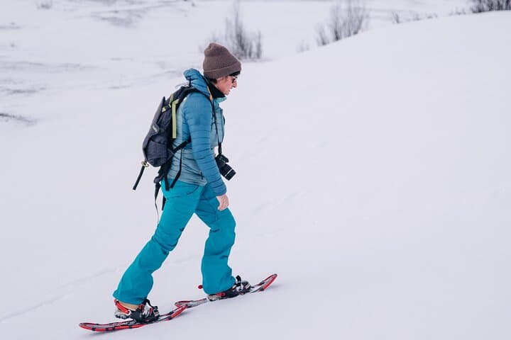 Kiruna Guided Daytime Snowshoe Hike
