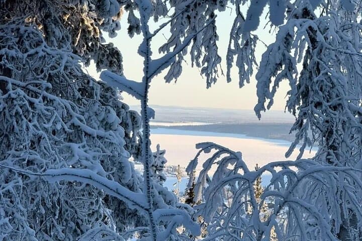 Kiruna Guided Daytime Snowshoe Hike