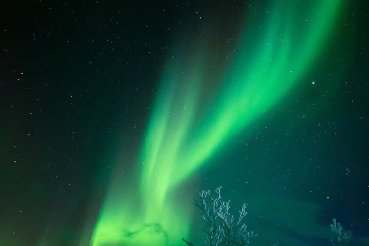 Kiruna: Aurora Chase with Street Food Dinner & Nature Guides