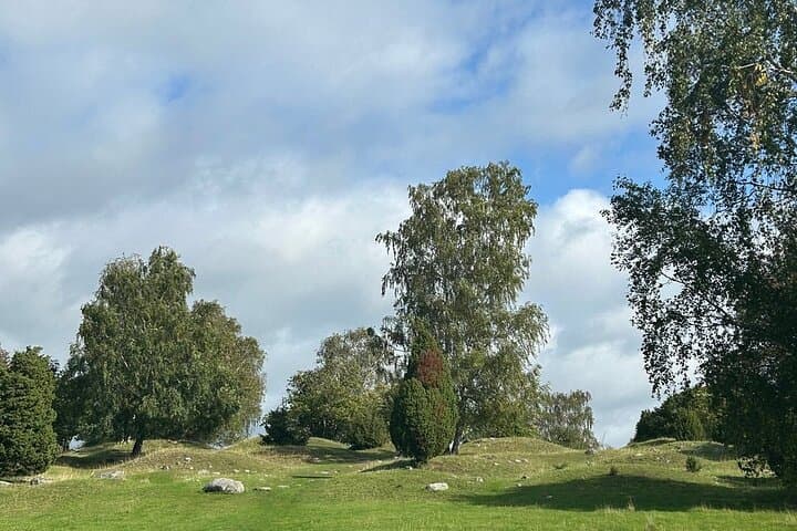 Archipelago Drive and Vaxholm Private Day Trip