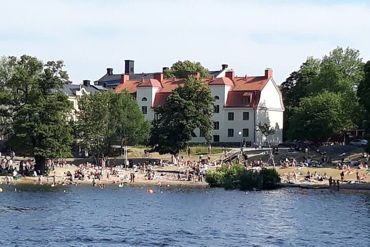 10 Hours Lake Mälaren Villages Day Trip from Stockholm