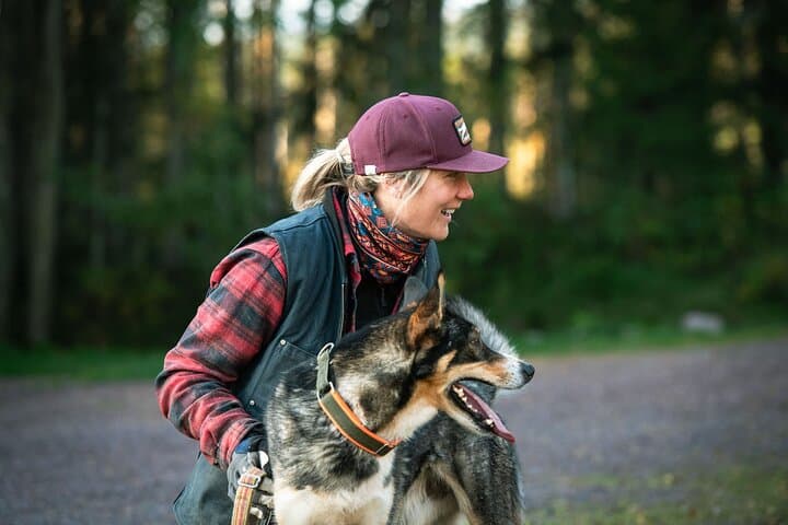 Husky cuddle at Fjälläventyr Dog Park - admission ticket