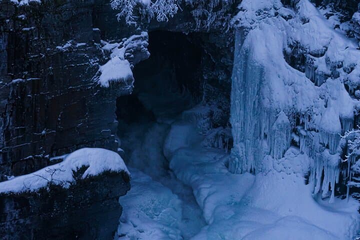 From Kiruna: Explore Abisko by Day
