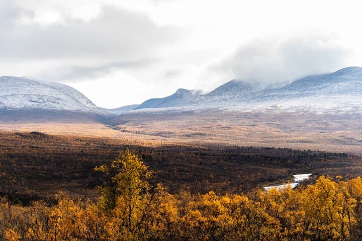 From Kiruna: Explore Abisko by Day
