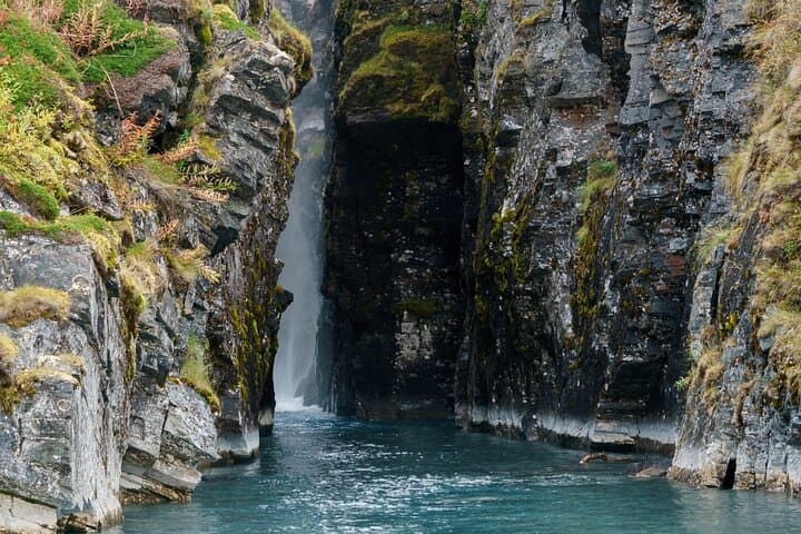 From Kiruna: Explore Abisko by Day