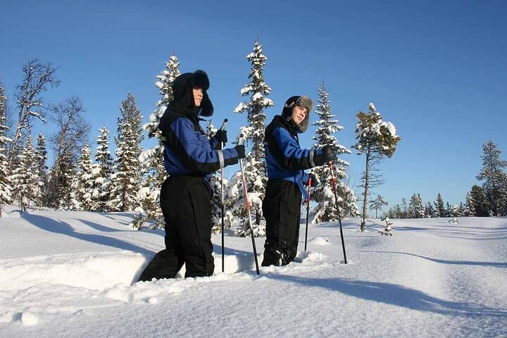 Snowshoe Trek in Kiruna's snowy forest