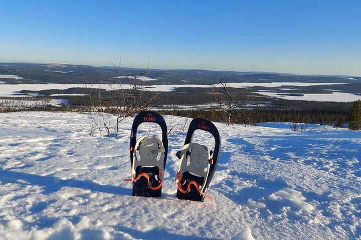 Snowshoe Trek in Kiruna's snowy forest