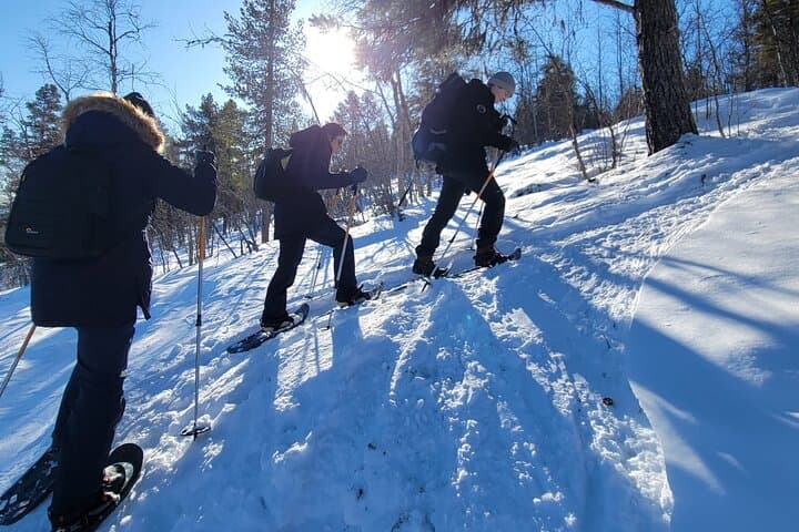 Snowshoe Trek in Kiruna's snowy forest