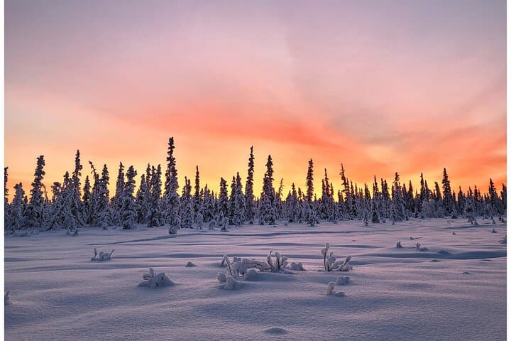 Snowshoe Trek in Kiruna's snowy forest