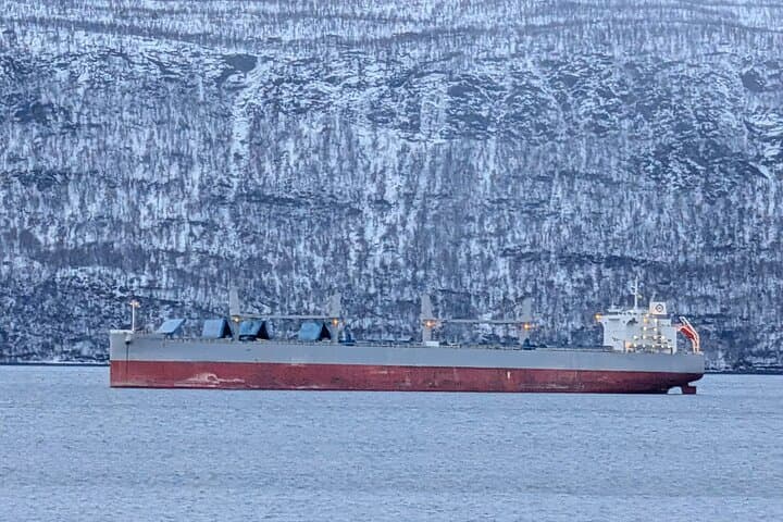 From Abisko to Narvik: Arctic Scenic Tour with Fjord Landscapes
