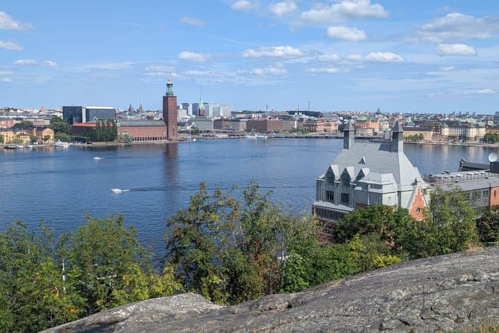 Royal Stockholm Highlights Private Panoramic City Tour