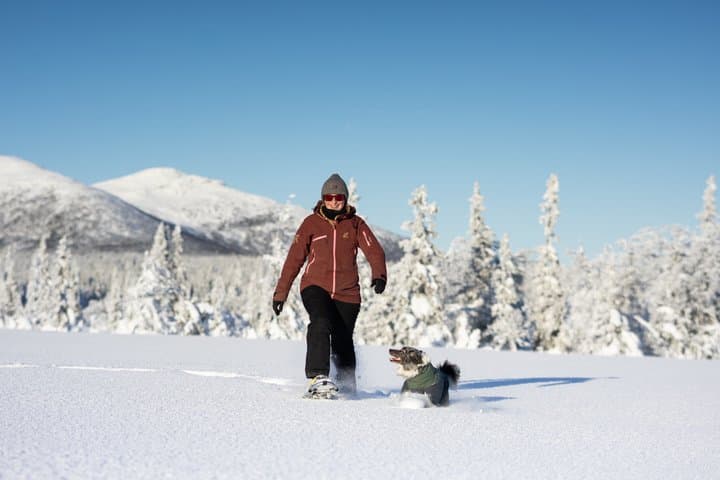Snowshoe tour Ansättenfjäll Winter adventure in Sweden