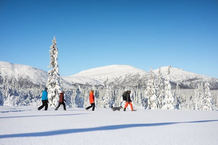 Snowshoe tour Ansättenfjäll Winter adventure in Sweden
