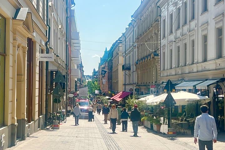 PREMIUM Stockholm City Tour with Private LUX Car and Guide