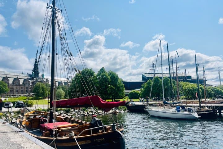 PREMIUM Stockholm City Tour with Private LUX Car and Guide