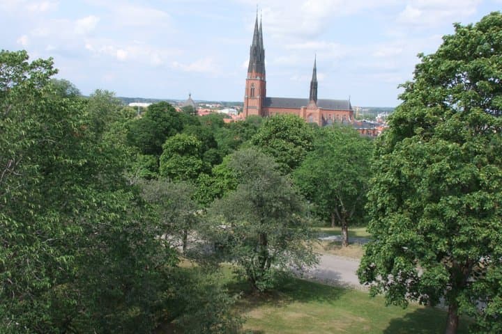 In the Footsteps of Vikings Uppsala and Sigtuna Adventure