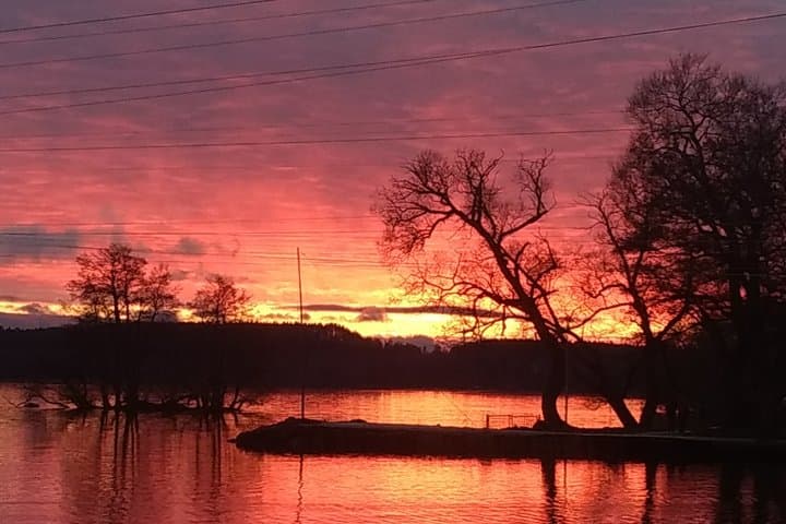 In the Footsteps of Vikings Uppsala and Sigtuna Adventure