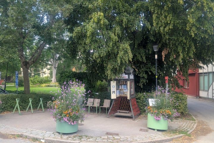 In the Footsteps of Vikings Uppsala and Sigtuna Adventure