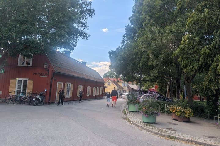 In the Footsteps of Vikings Uppsala and Sigtuna Adventure