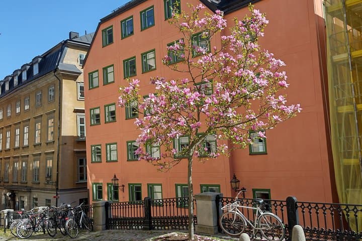 Stockholm Highlights and Cliffside Fika Picknick