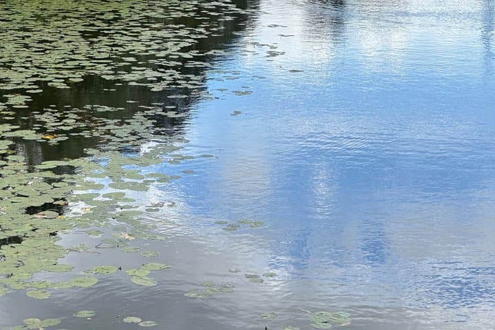 Fishing Activity in Fyrisan Uppsala with Local Guide
