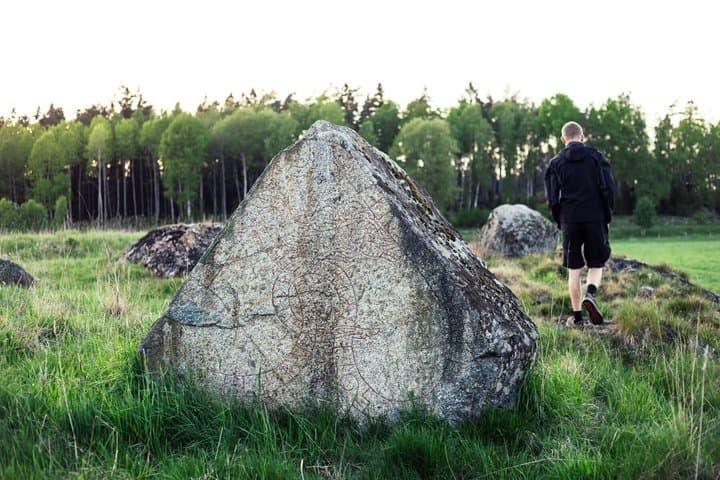 Stockholm: Hike, Forest Lunch and Cold-Water Floating