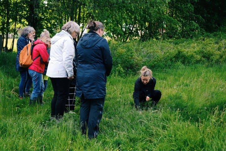 2- Hours Herb Walking Tour