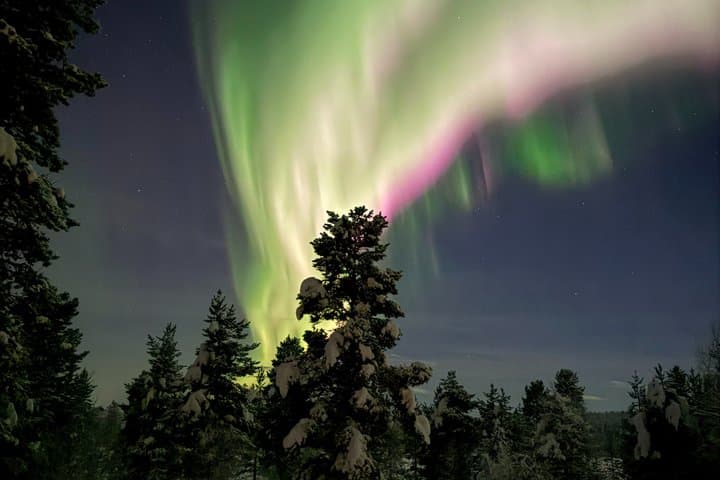 Northern Lights Chase with open fire Dinner in Kiruna