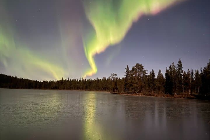 Northern Lights Chase with open fire Dinner in Kiruna