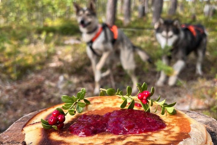 Nordic Wild Trek hike with sled dogs in Lapland