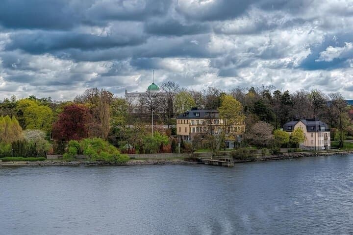 Stockholm Djurgården and Östermalm Island Tour