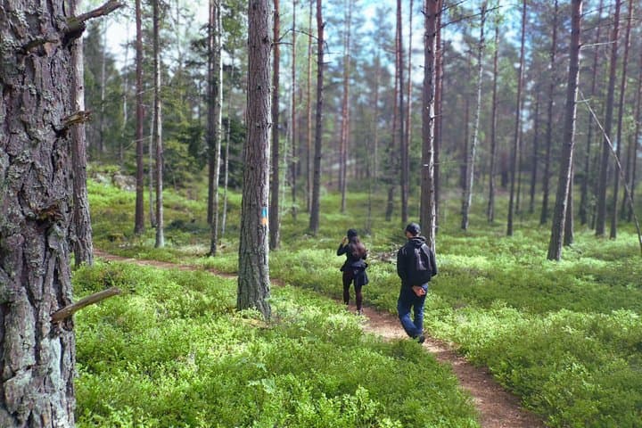 Stockholm: Hike, Forest Lunch and Cold-Water Floating
