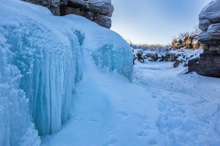 Discover the Abisko and Bjorkliden with Lunch