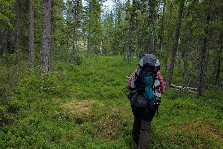 Farm Visit and Nature Hike in Swedish Lapland Private Tour