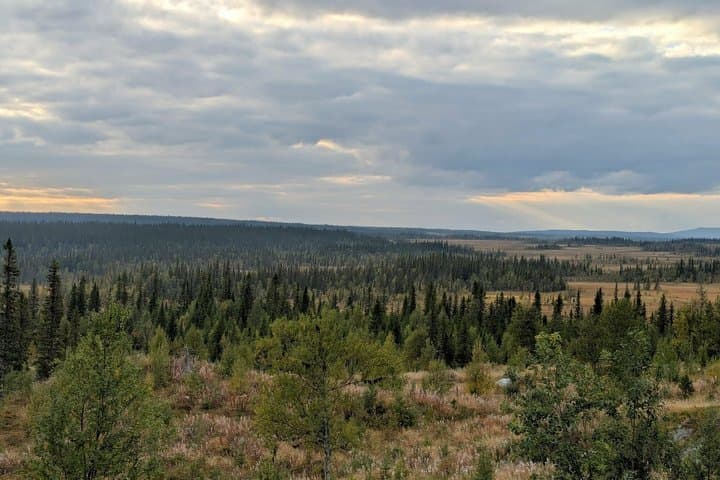 Farm Visit and Nature Hike in Swedish Lapland Private Tour