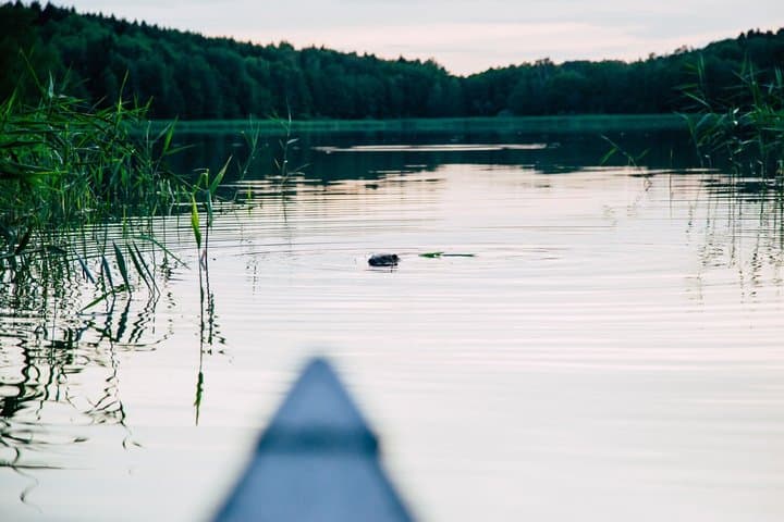 Canoe adventure in Stockholm Archipelago