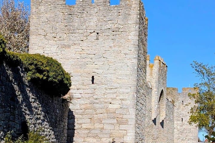 Viking's Trading Post to Baltic's Golden Age: A Visby Audio Tour