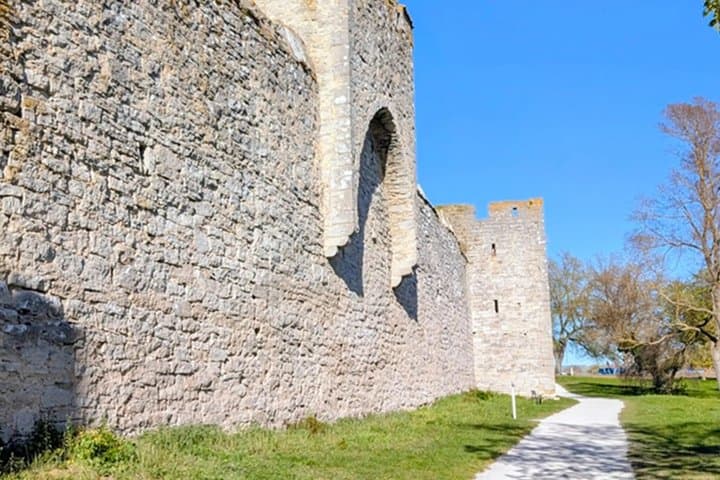 Viking's Trading Post to Baltic's Golden Age: A Visby Audio Tour