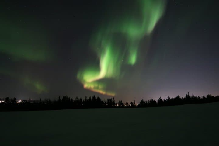 Luleå Northern Lights Snowshoeing Tour