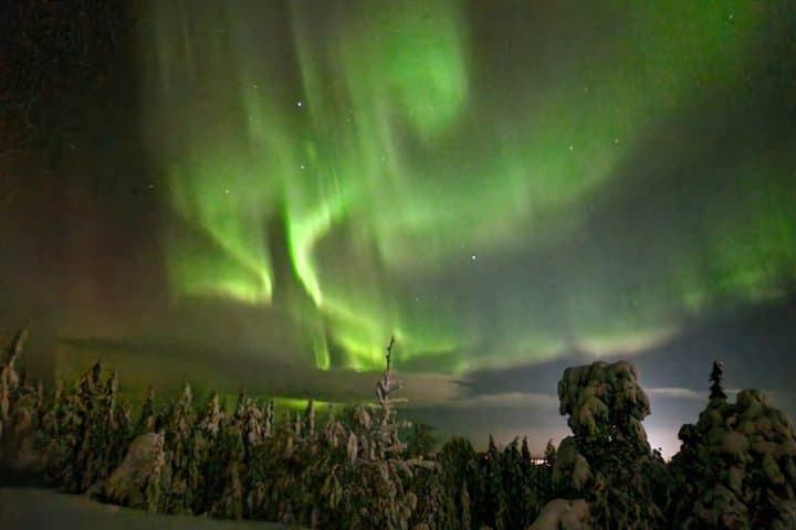 Luleå Northern Lights Snowshoeing Tour