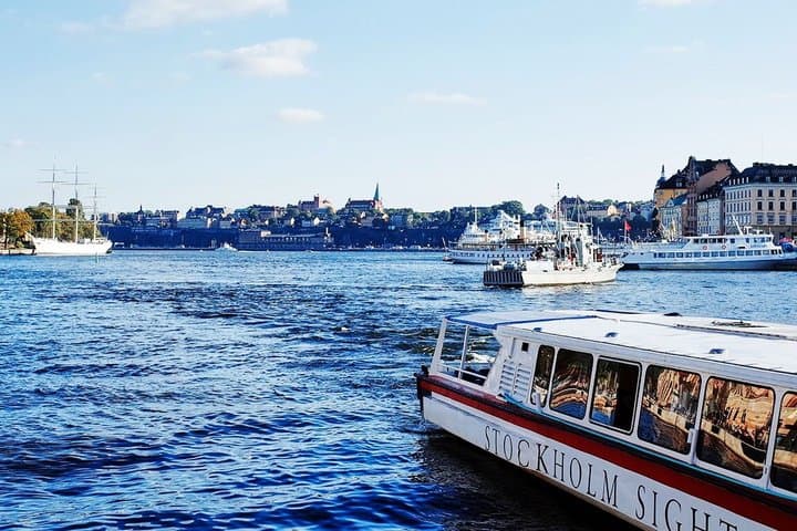 Stockholm: Royal Palace & Gamla Stan Tour, Canal Cruise